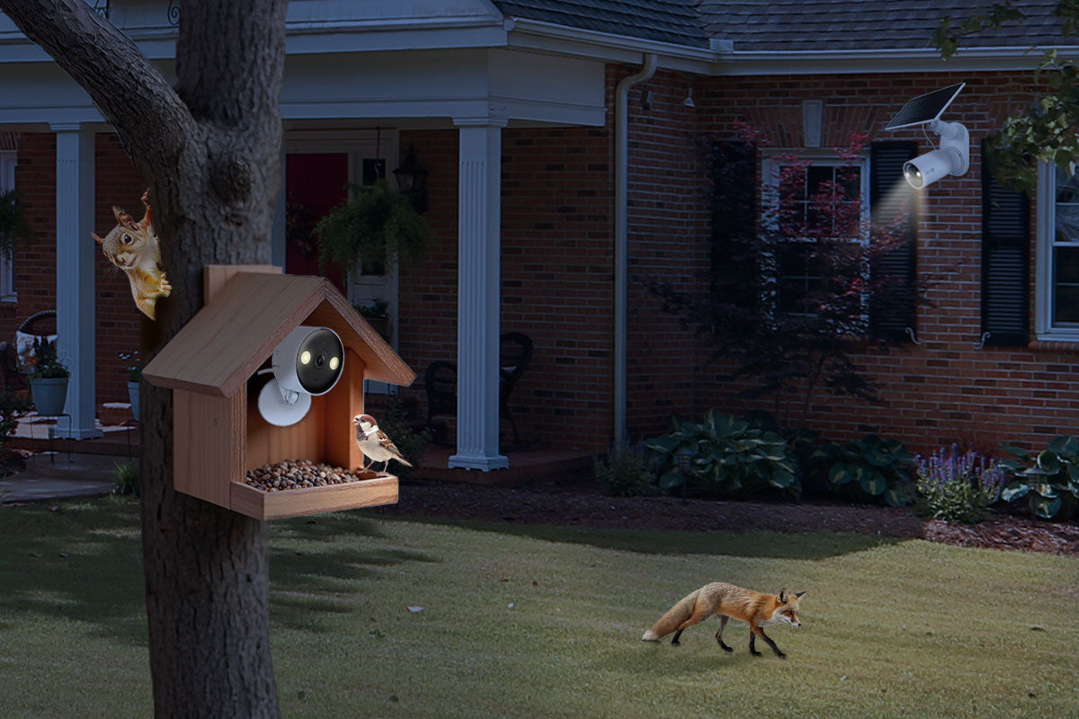 Garden Cameras: The Ultimate Guide to Security & Wildlife Watching