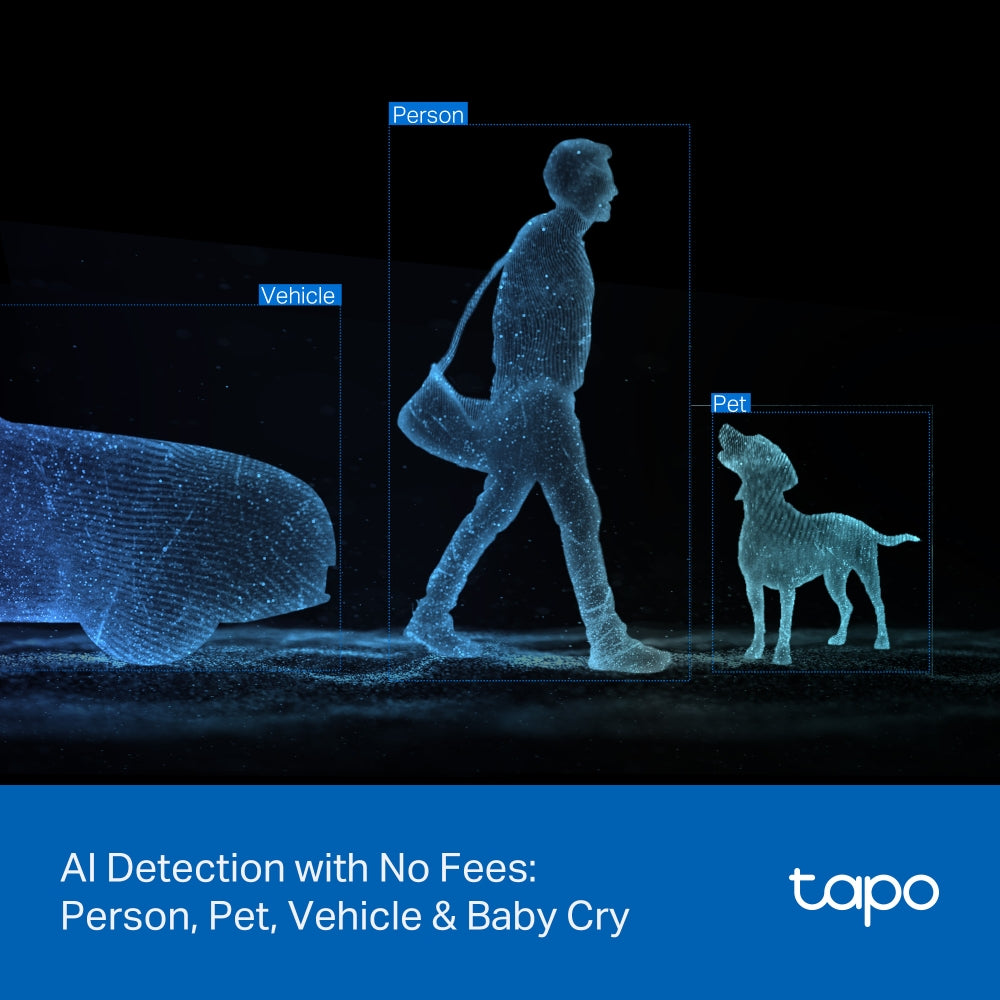 Tapo C246D Indoor/Outdoor Dual Lens Security Camera with Pan-Tilt-Zoom