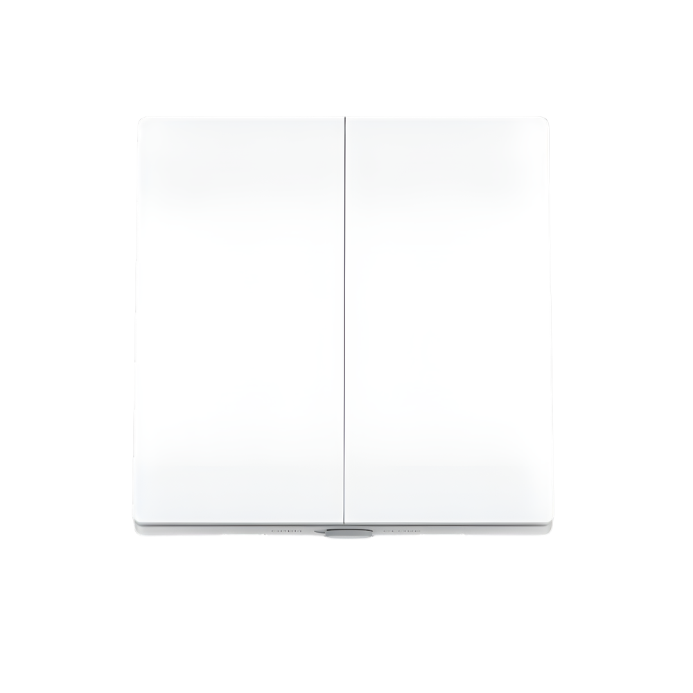 Smart Light Switch, 2-Gang 1-Way, Tapo S220