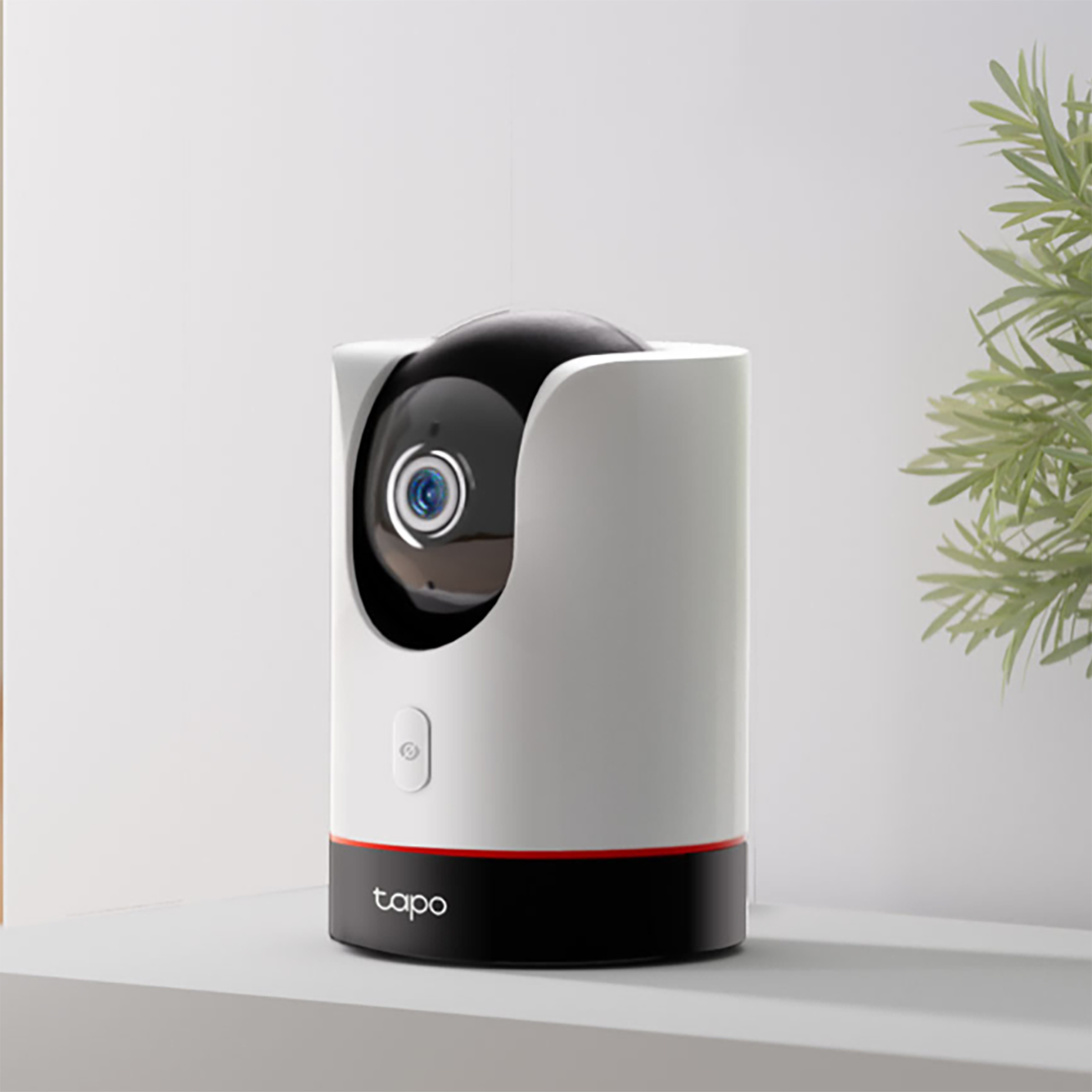 Indoor Security Cameras