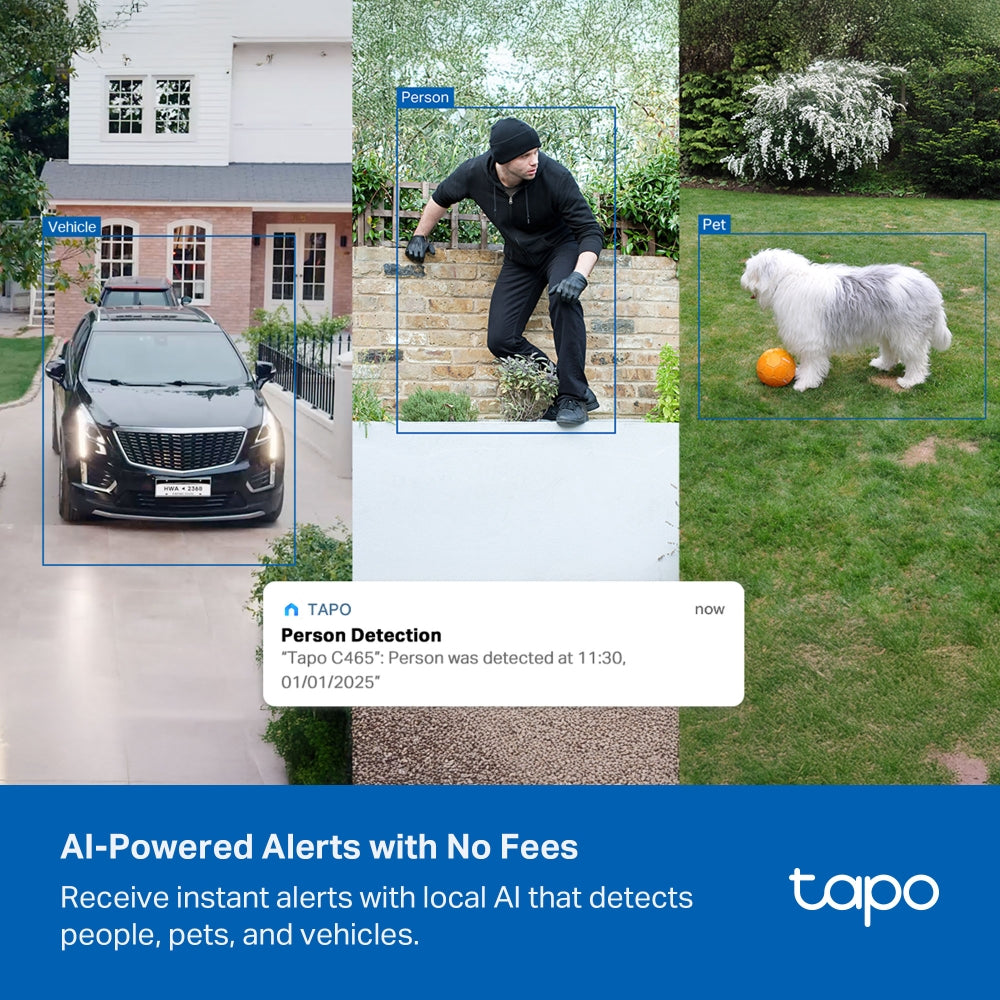 Tapo C465 Solar-Powered 4K Security Camera with Enhanced AI