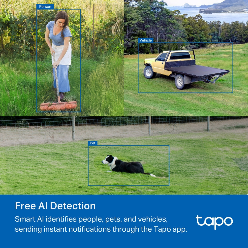 4G LTE/PoE Outdoor Pan Tilt Cam, 1080P, Tapo C501GW